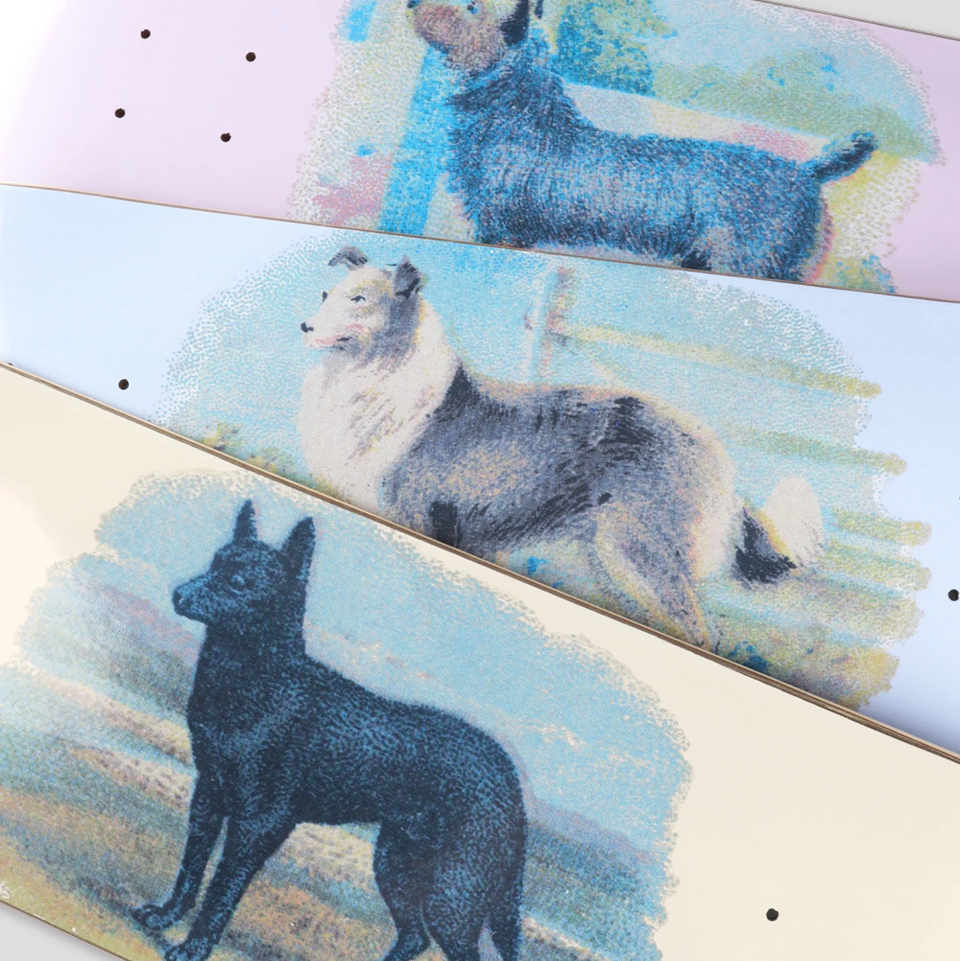 Pass~Port Hybrid Vigour Series - Collie