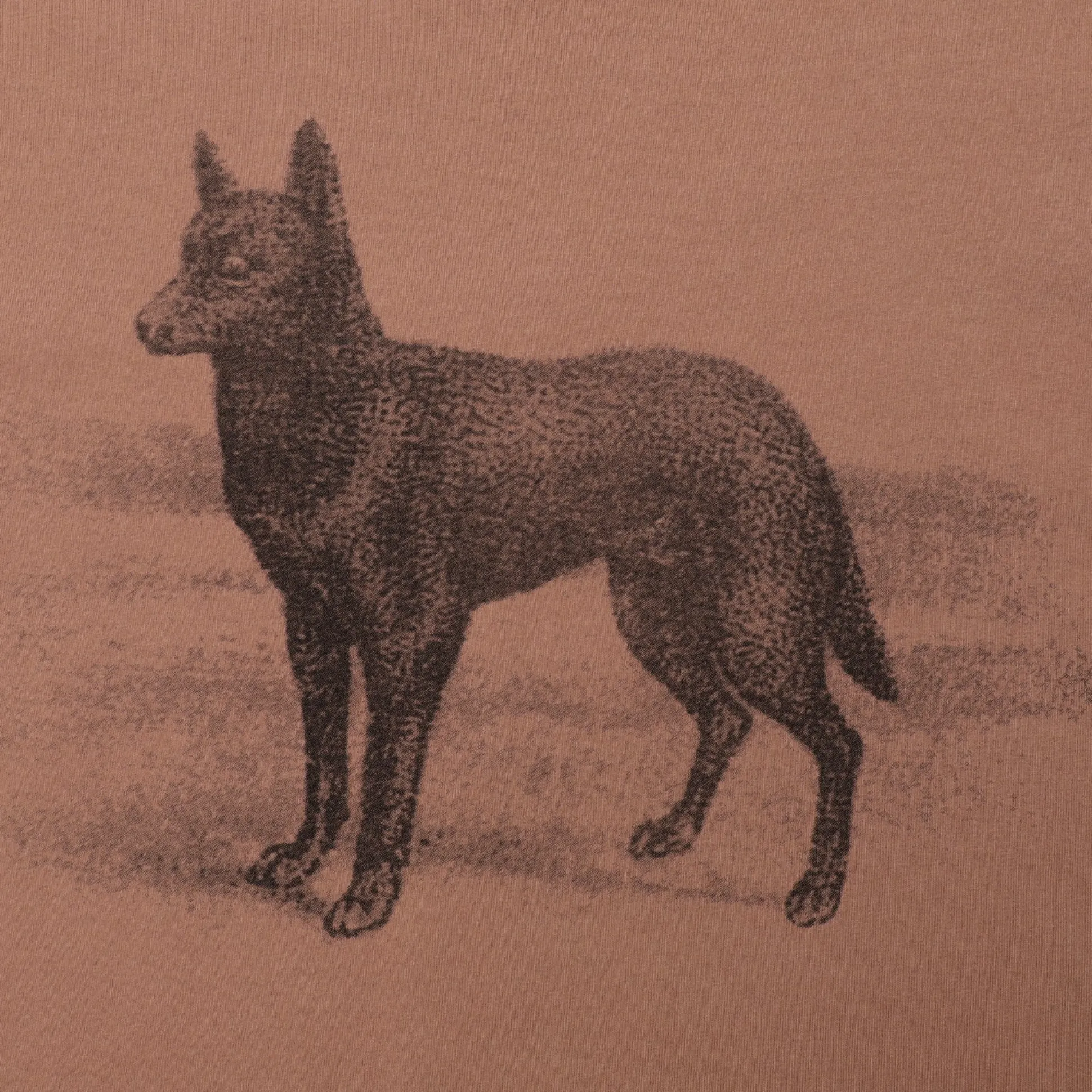 Pass~Port Kelpie Tee - Dusty Brown