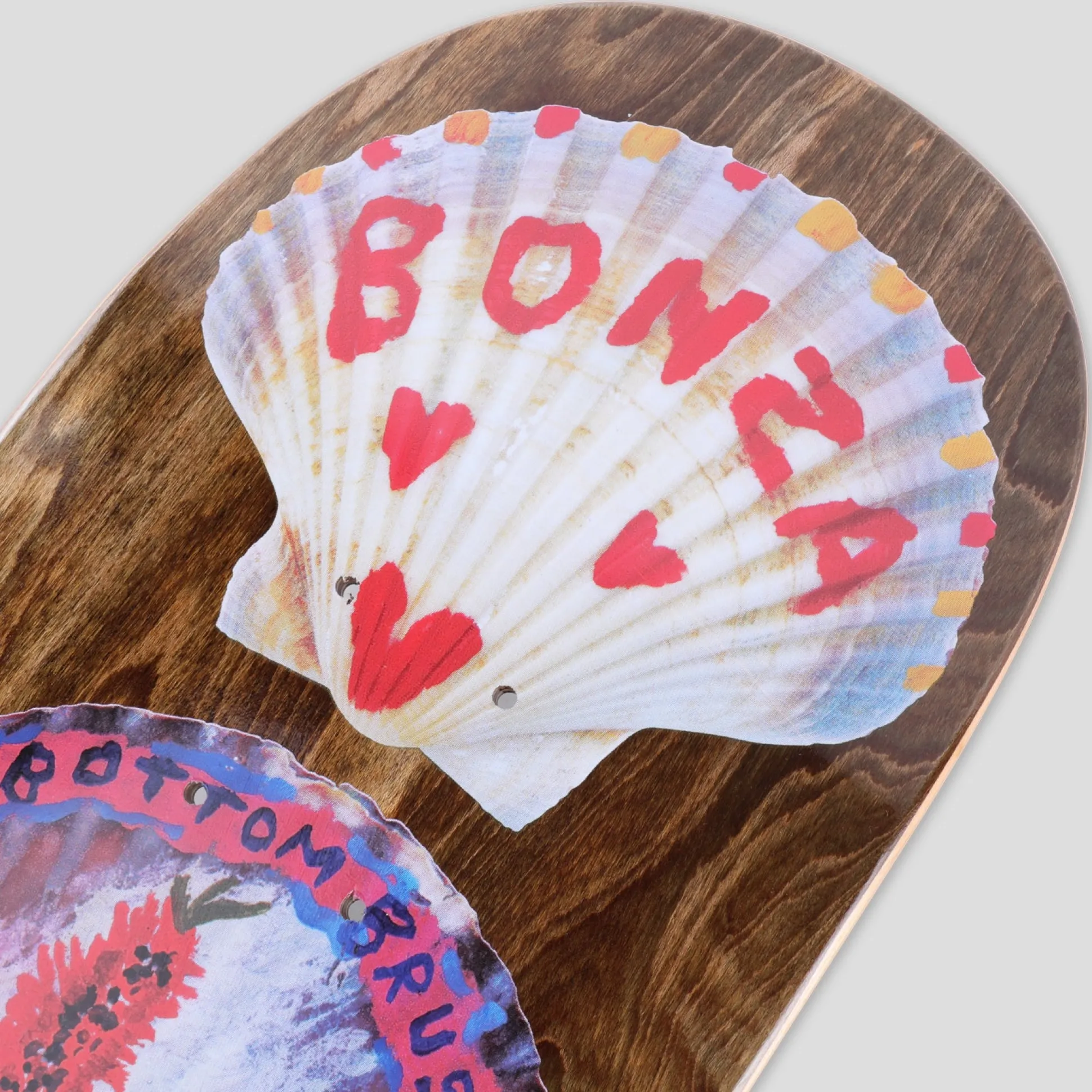 Pass~Port Molly Turner Series - Shells