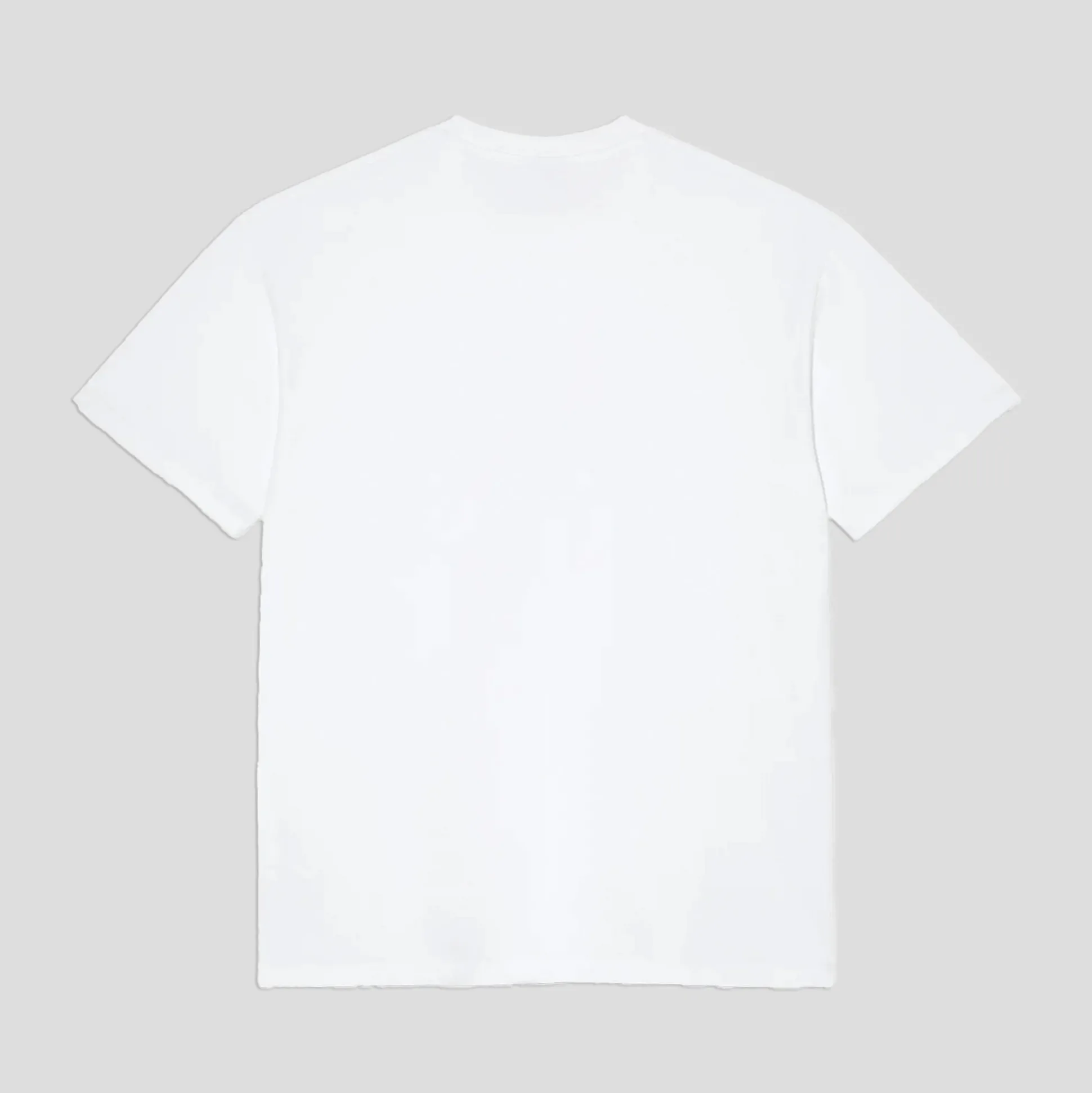 Polar Skate Co. Clubb Inc Tee - White